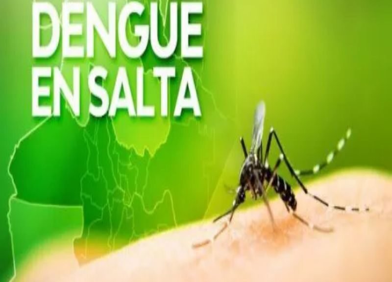 DENGUE